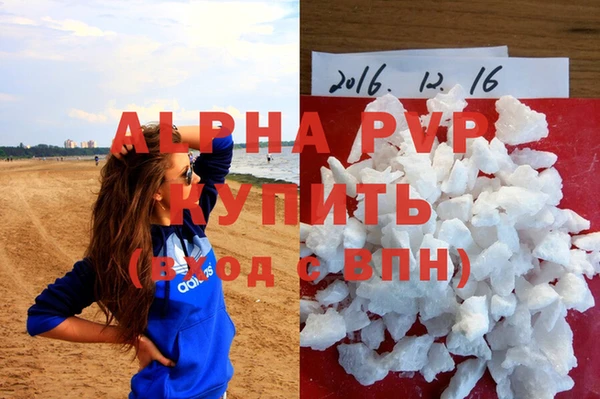 спиды Абаза