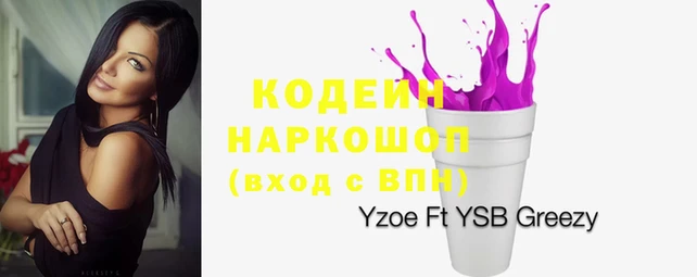 спиды Абаза