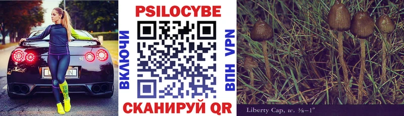 Псилоцибиновые грибы Magic Shrooms Таганрог