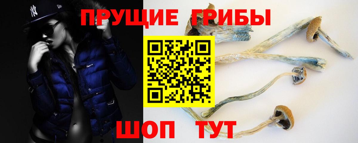 Галлюциногенные грибы Psilocybe Таганрог