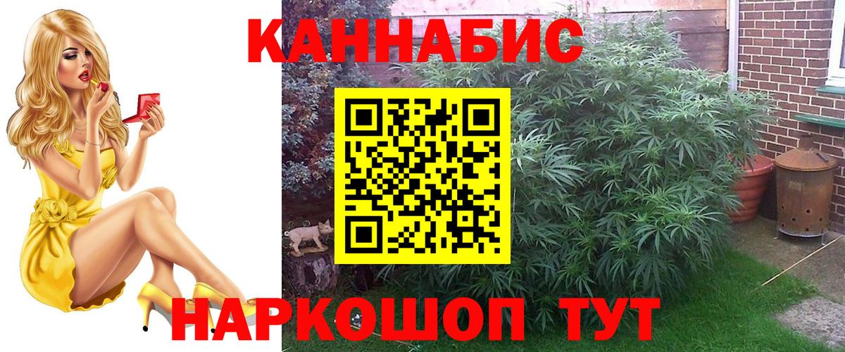 Бошки марихуана планчик Таганрог